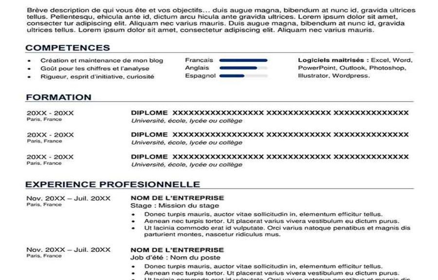 Templates CV in French Archives | Page 7 of 7 | Steven Kendy PIERRE