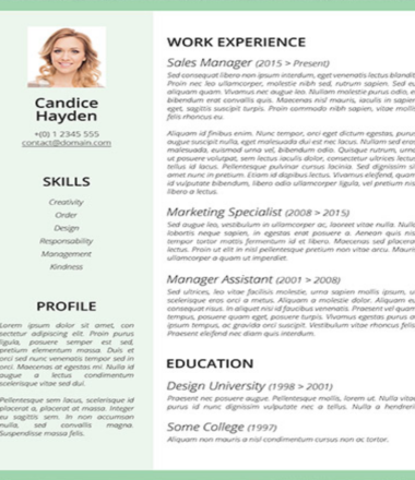 Professional Free CV Template