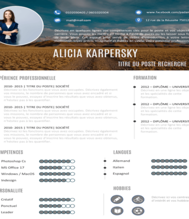 Example of Graphic CV